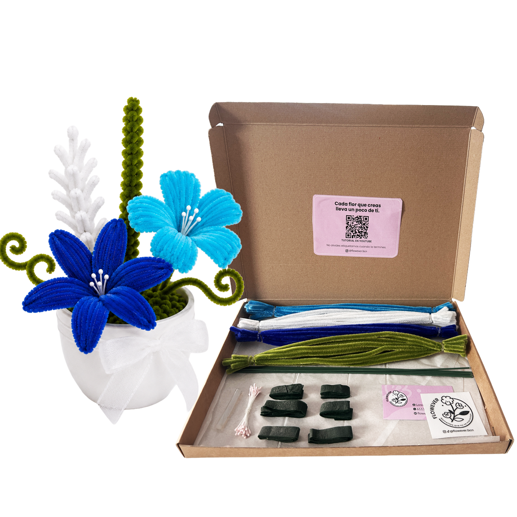 KIT AZUL