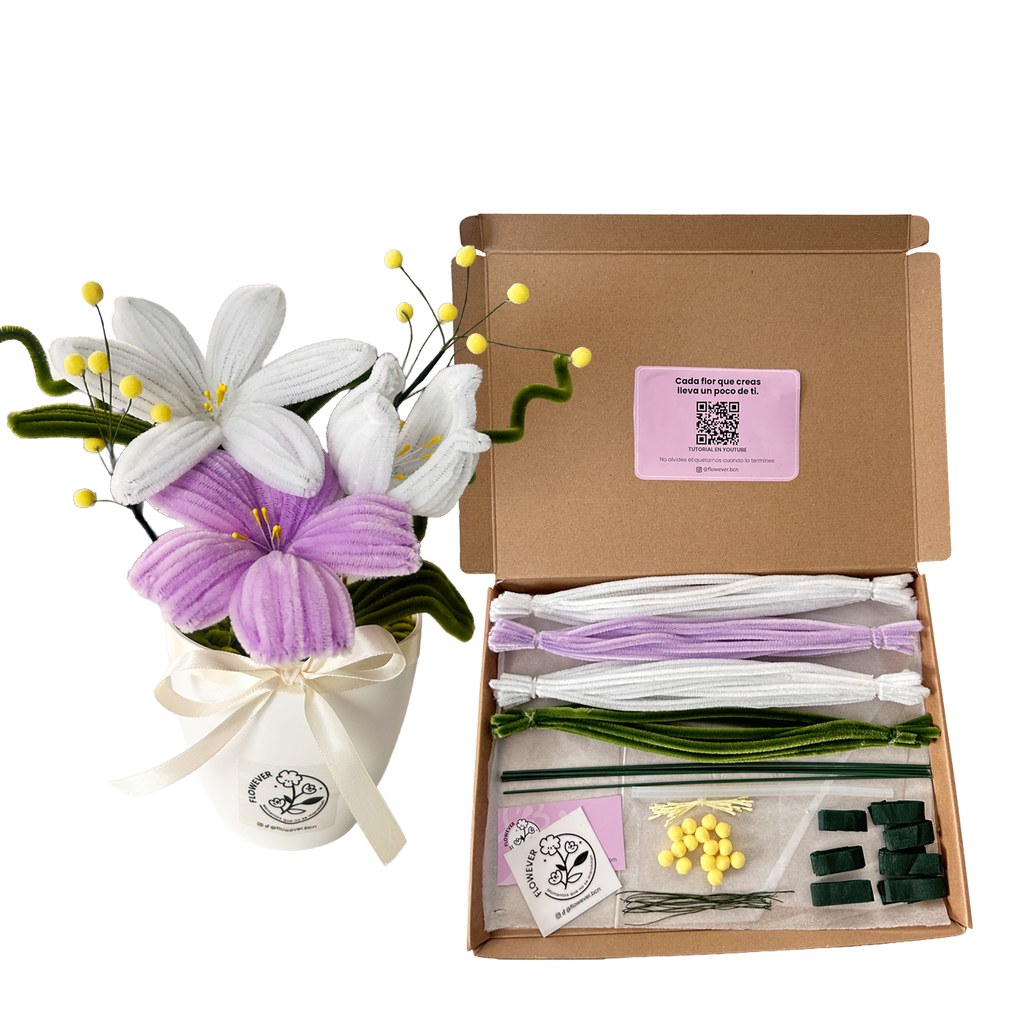 KIT LILA