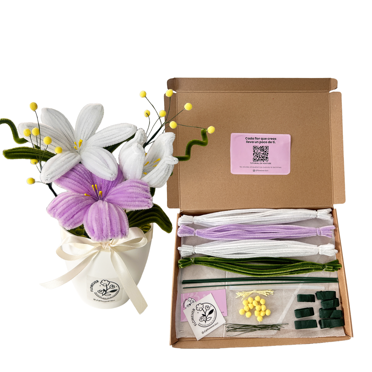 KIT LILA