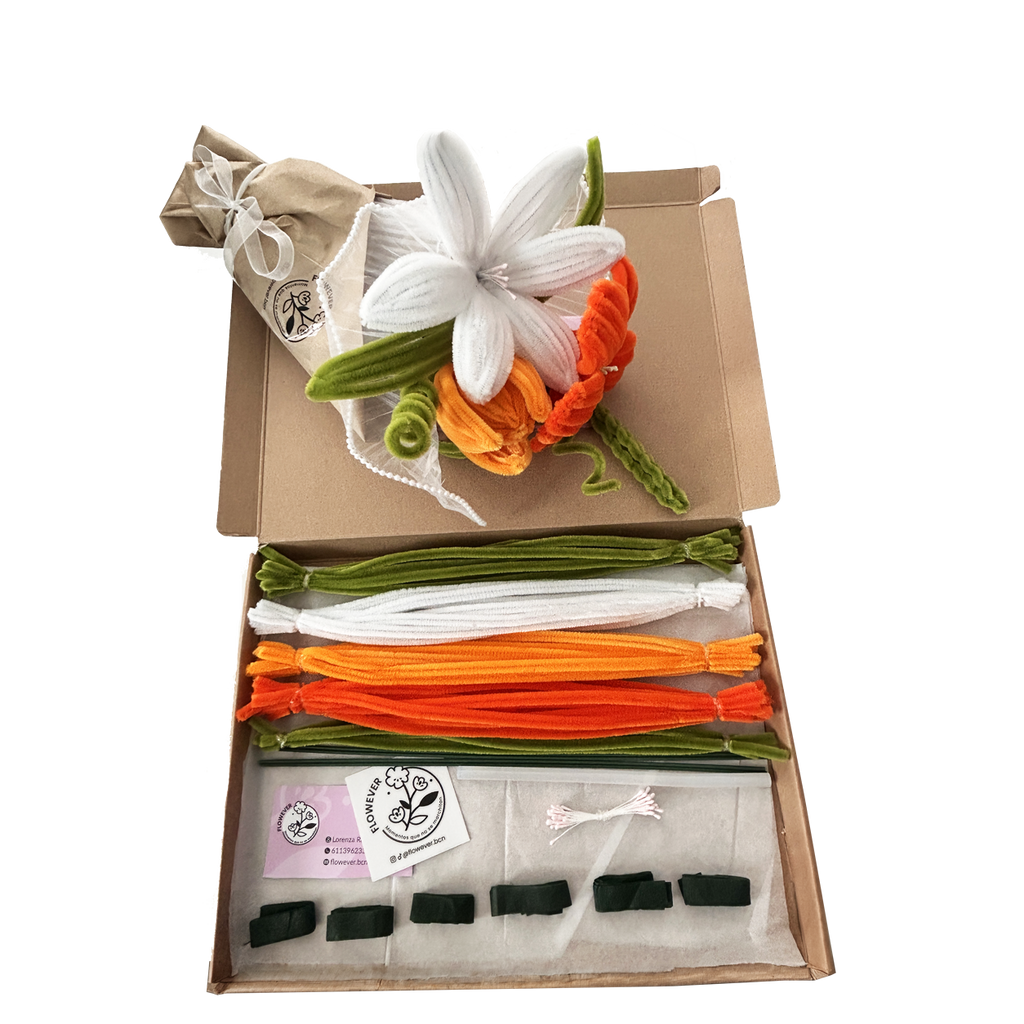 KIT NARANJA RAMO