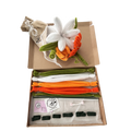 KIT NARANJA RAMO
