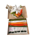 KIT NARANJA RAMO