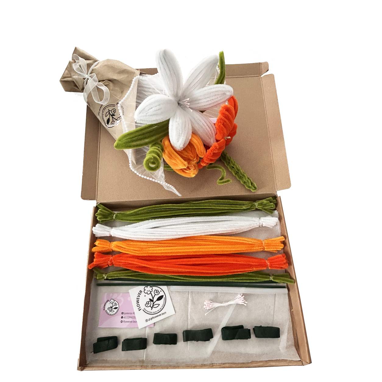 KIT NARANJA RAMO