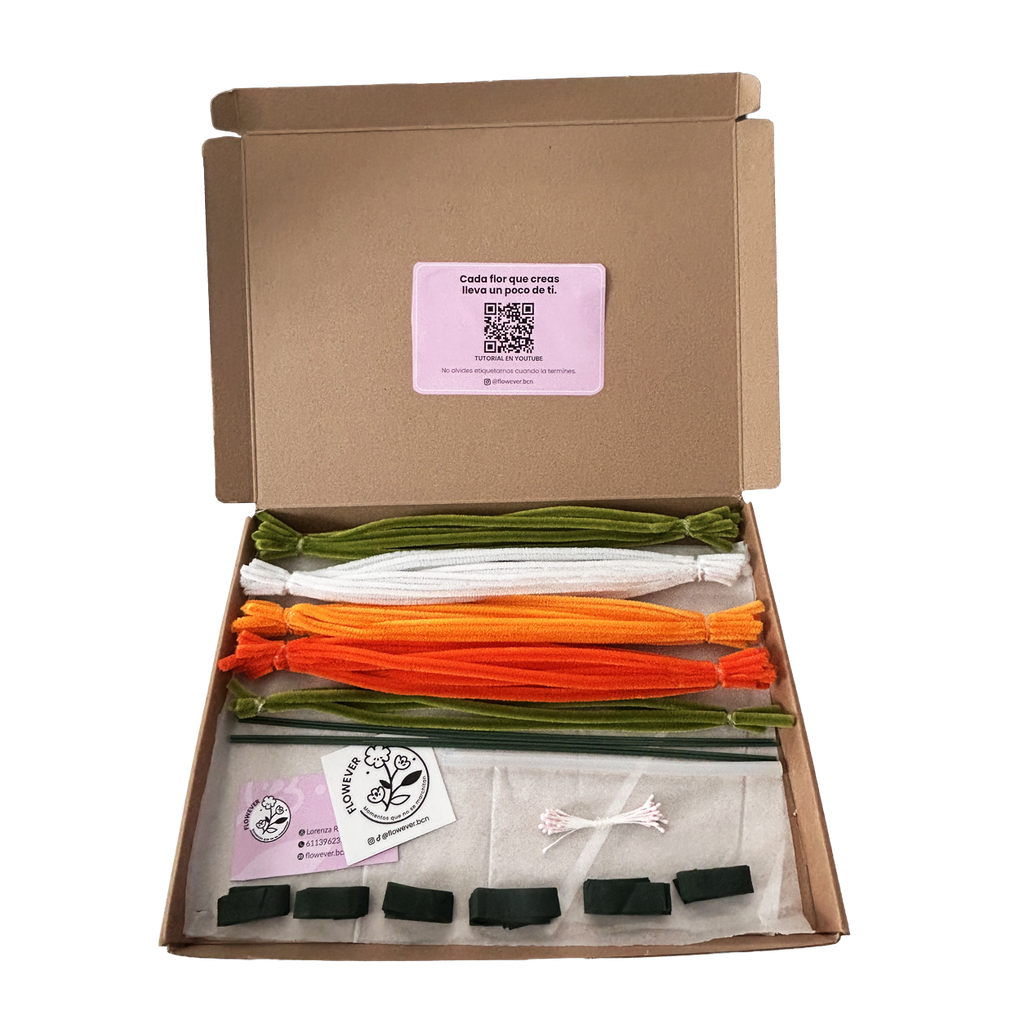 KIT NARANJA
