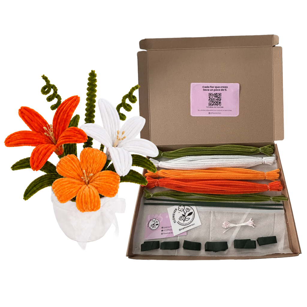 KIT NARANJA