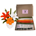 KIT NARANJA