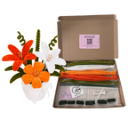 KIT NARANJA