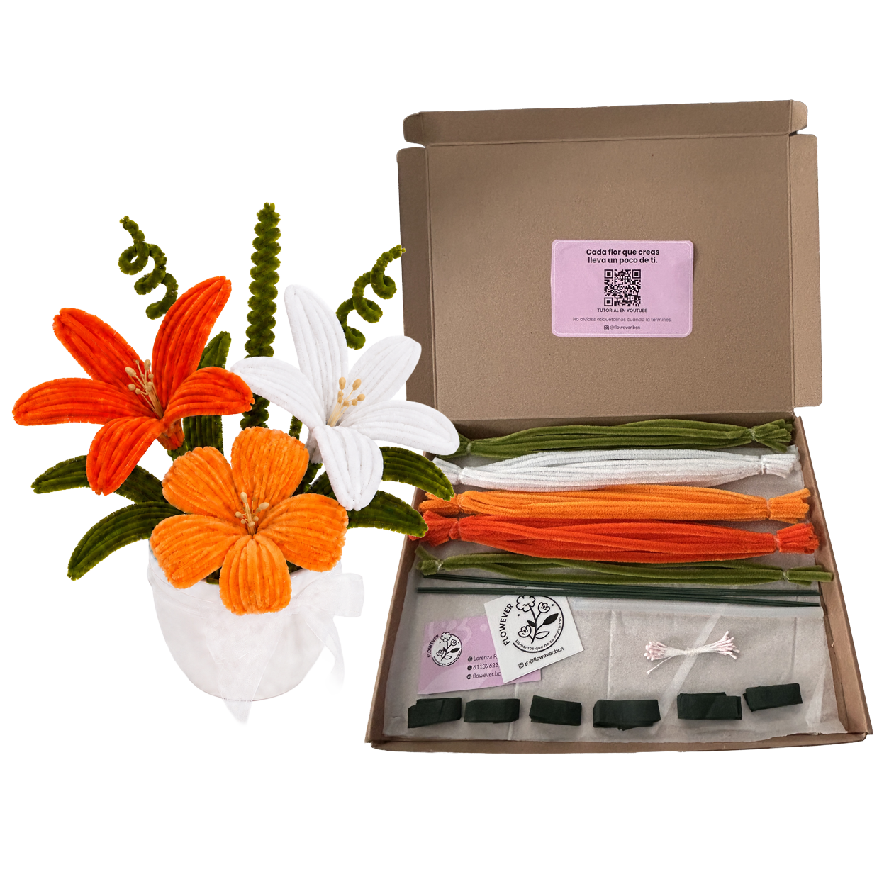 KIT NARANJA