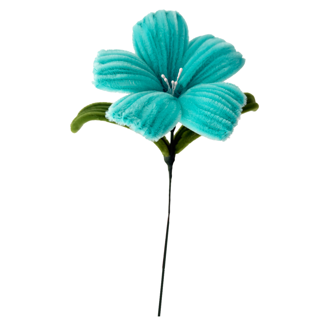 HIBISCUS
