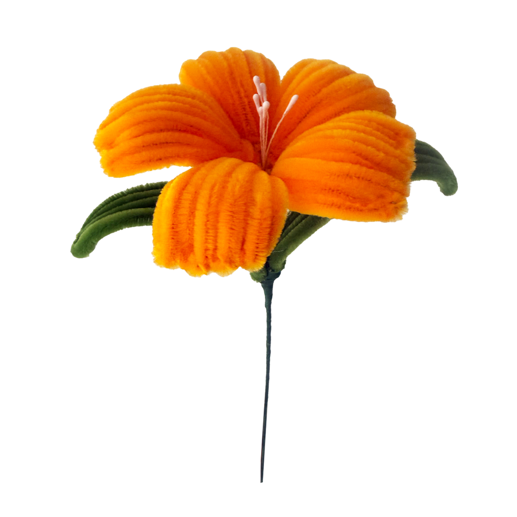 HIBISCUS