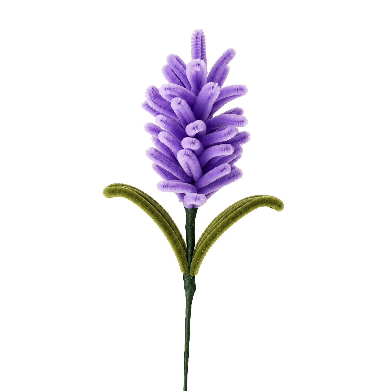 LAVANDA