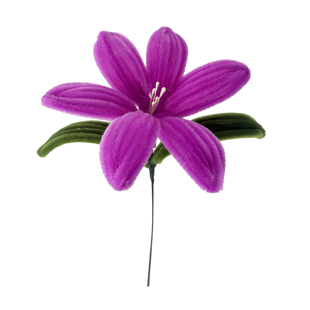 LIRIO