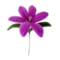 LIRIO