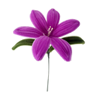 LIRIO