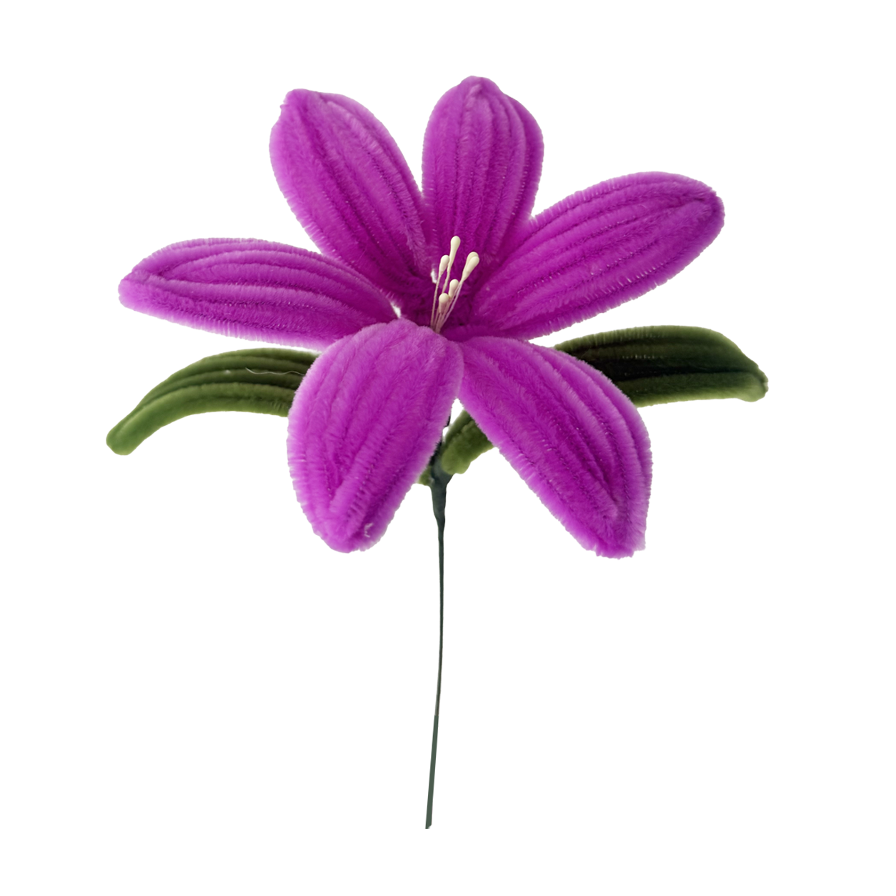 LIRIO