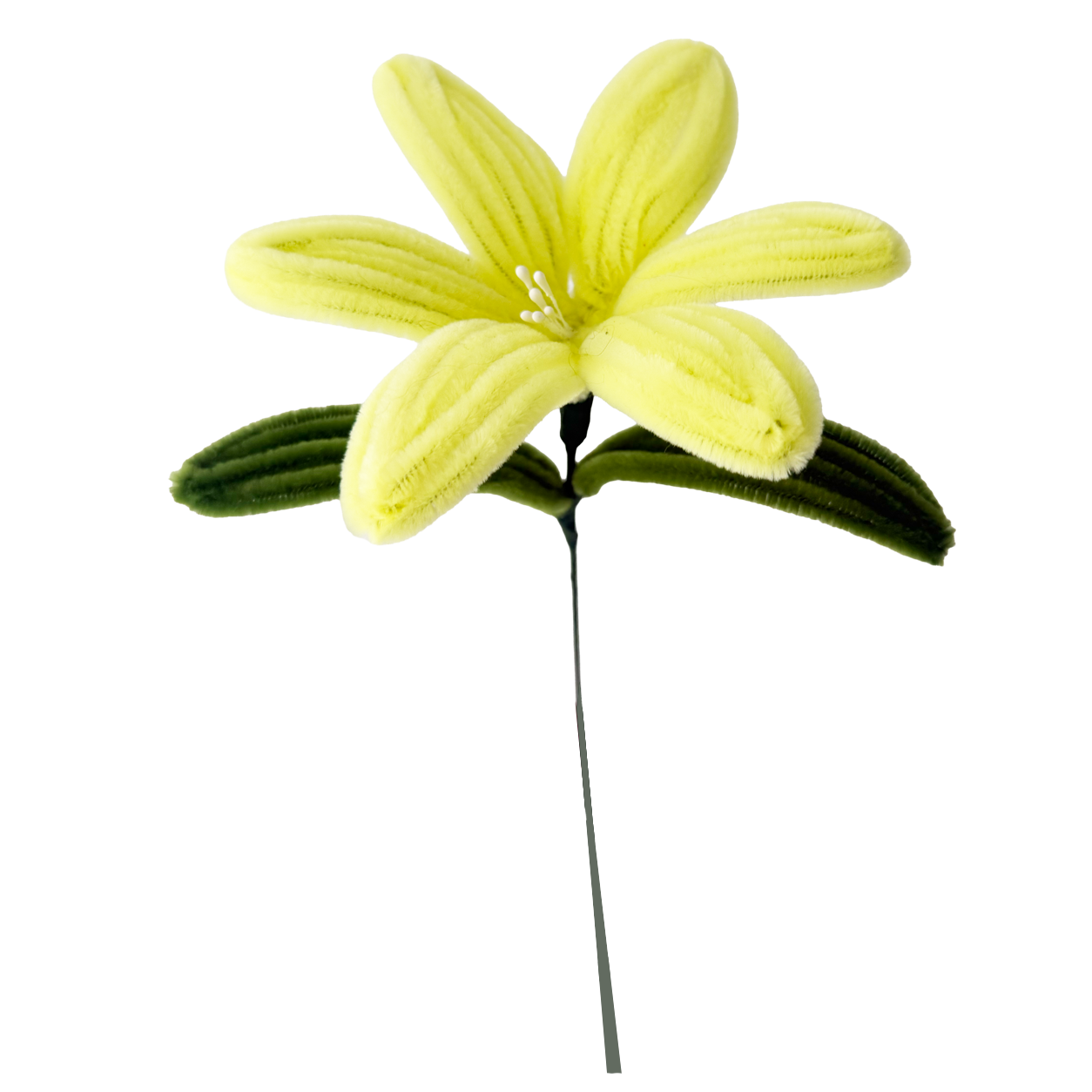 LIRIO