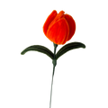 TULIPAN
