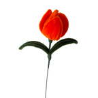 TULIPAN