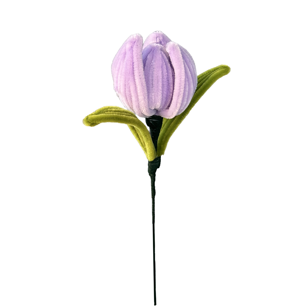 TULIPAN