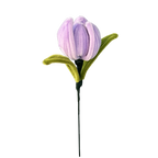 TULIPAN